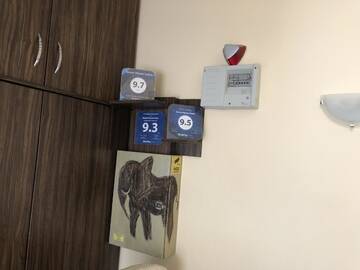 Фото номера Двухместный номер с 1 кроватью и видом на город Гостевой дом Guest House Ivano г. Приморско 2